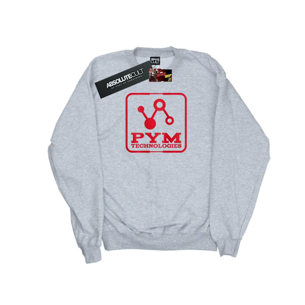 Marvel Herr Ant-Man And The Wasp Pym Technologies Sweatshirt M Sports Grey M