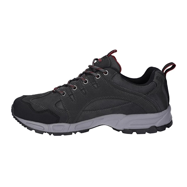 Hi-Tec Auckland Lite Suede Walking Shoes för män 8 UK Graphite Gre Graphite Grey/Dark Red 8 UK
