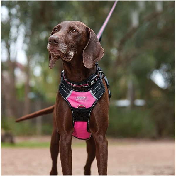 Weatherbeeta Anti-Pull Hundsele Medium Svart/Rosa Black/Pink Medium