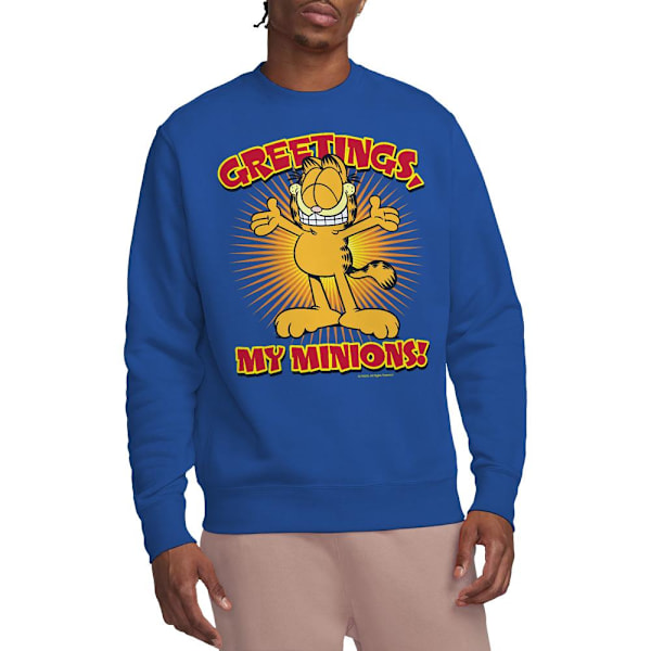 Garfield Unisex Vuxen Minions Sweatshirt XL Kungsblå Royal Blue XL
