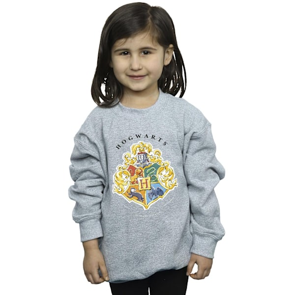 Harry Potter Tjejer Hogwarts Skolemblems Sweatshirt 9-11 År Sports Grey 9-11 Years