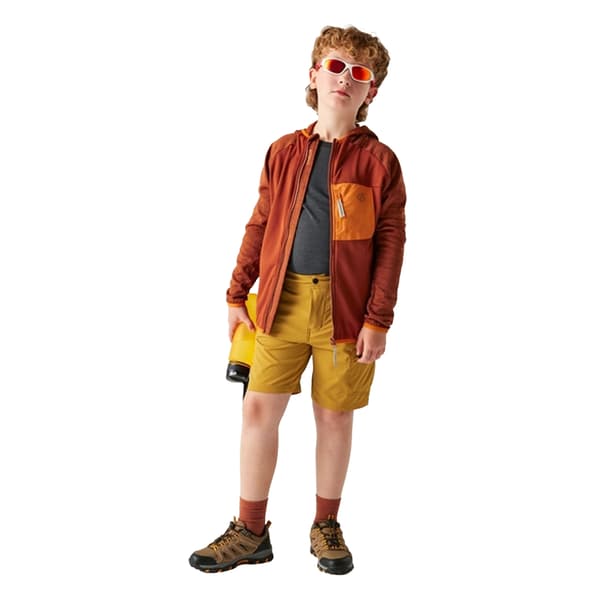 Dare 2B Barn/Kids Expedition Stretch Midlayer 14 år Ara Arabian Spice 14 Years