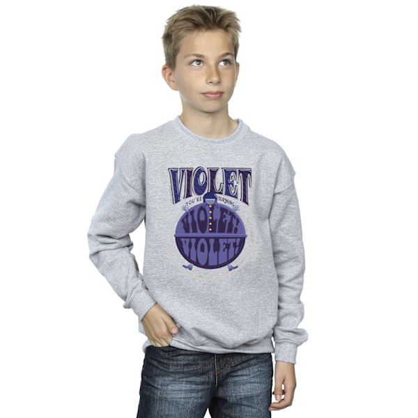 Willy Wonka Boys Violet Turning Violet Sweatshirt 9-11 år Sports Grey Sports Grey 9-11 Years