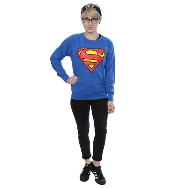 DC Comics Dam/Kvinnor Superman Logo Boyfriend Fit Sweatshirt Royal Blue XL