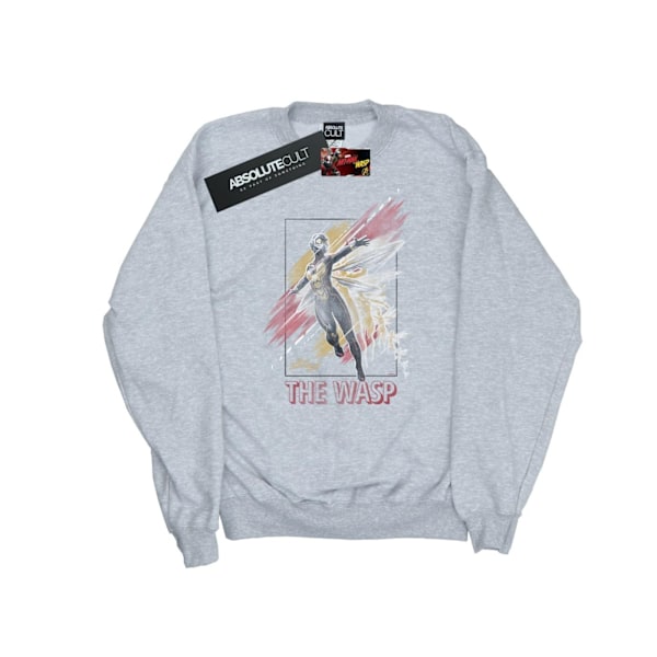 Marvel Dam/Kvinnor Ant-Man And The Wasp Inramad Wasp Sweatshirt Sports Grey XL