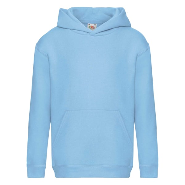 Fruit Of The Loom Kids Unisex Premium 70/30 Hooded Sweatshirt / Sky Blue 9-11 Years