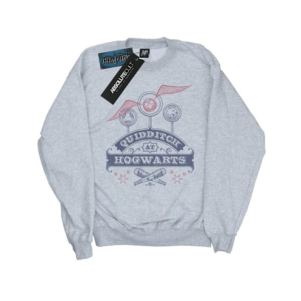 Harry Potter Quidditch på Hogwarts Sweatshirt S Sports Grå Sports Grey S