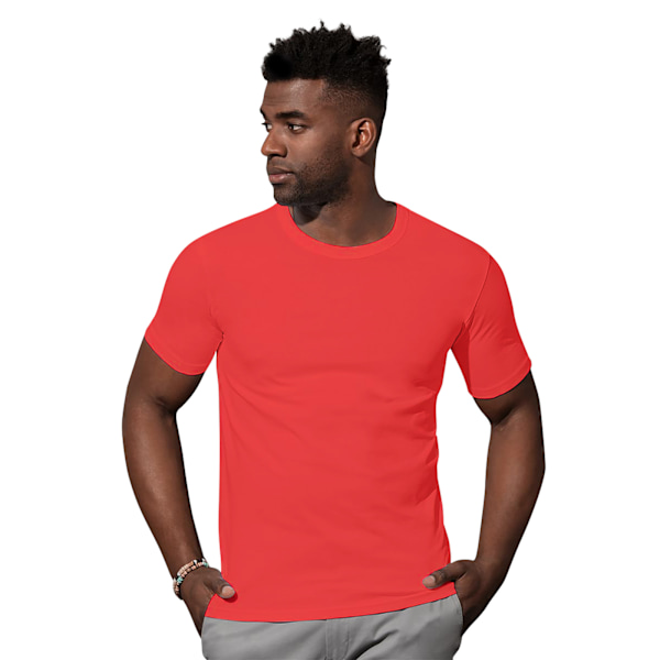 Stedman Stars Herr Morgan Crew Neck Tee S Crimson Red Crimson Red S