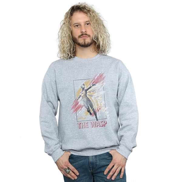 Marvel Herr Ant-Man And The Wasp Inramad Wasp Sweatshirt L Sport Sports Grey L