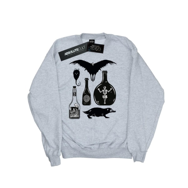 Fantastic Beasts Dam/Ladies Plain Icons Sweatshirt XL Heathe Heather Grey XL