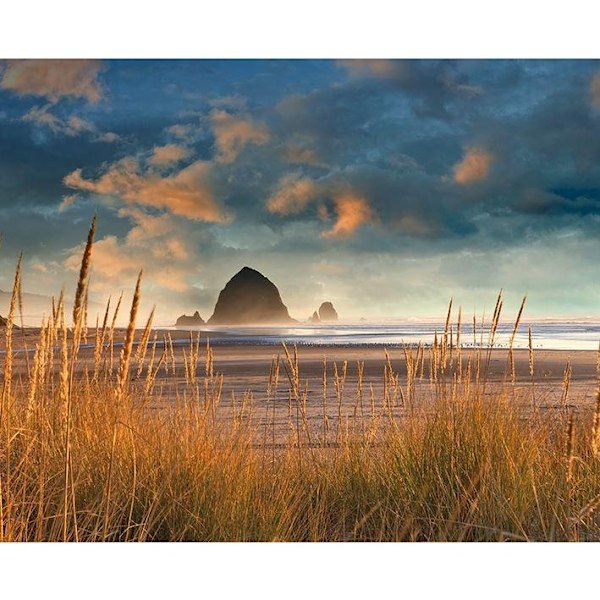 Dennis Frates Haystack Rock vid Cannon Beach inramad duk Blue/Brown 30cm x 40cm