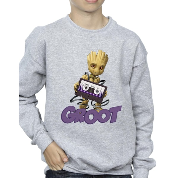 Guardians Of The Galaxy Boys Groot Kassett Sweatshirt 5-6 År Sports Grey 5-6 Years