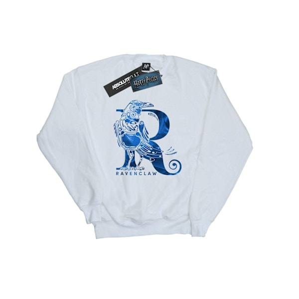 Harry Potter Herr Ravenclaw Raven Sweatshirt 3XL Vit White 3XL