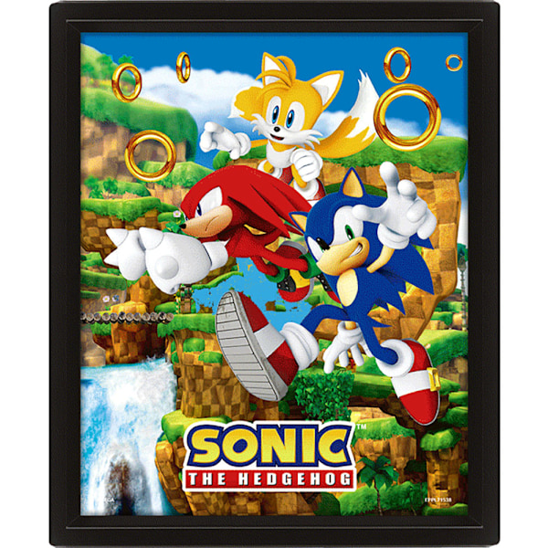 Sonic The Hedgehog 3D inramad bild En storlek Flerfärgad Multicoloured One Size