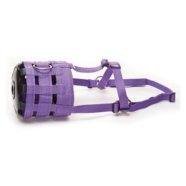 Hy Muzzle Pony Lila Purple Pony