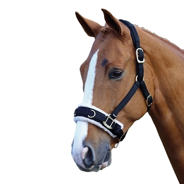 Shires Fleece Lined Horse Lunge Cavesson X Full Black Black X Full