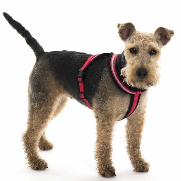 Halti Comfy Hundsele M Röd Red M
