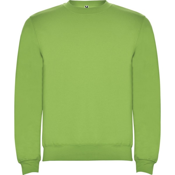 Roly Unisex Vuxen Clasica Crew Neck Sweatshirt 3XL Oasisgrön Oasis Green 3XL