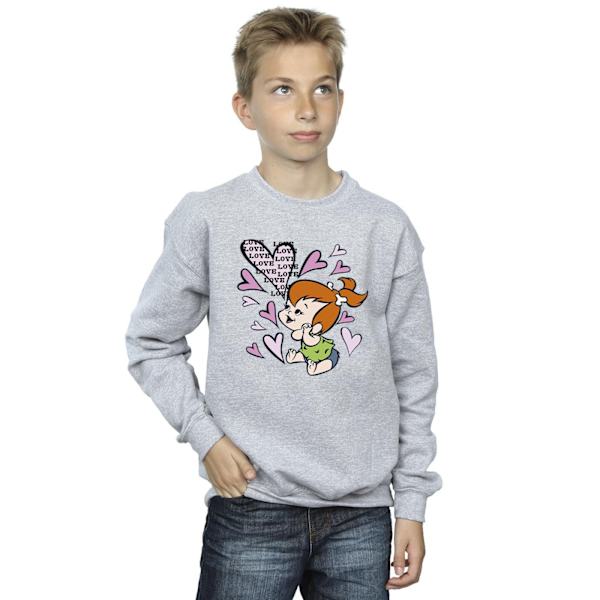 The Flintstones Boys Pebbles Love Love Love Sweatshirt 3-4 År Sports Grey 3-4 Years