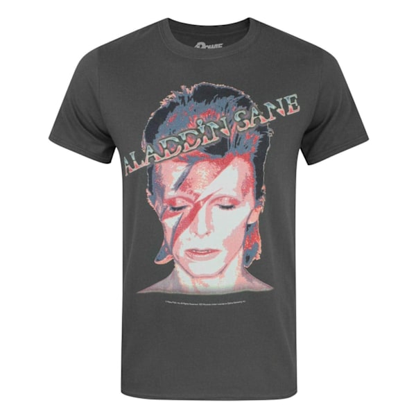 David Bowie Officiell Herr Aladdin Sane T-shirt XL Charcoal Charcoal XL