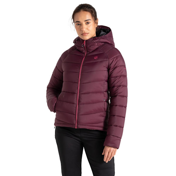 Dare 2B Dam/Dam Torrek Vadderad Jacka med Fackindelning 8 UK Fig Fig 8 UK