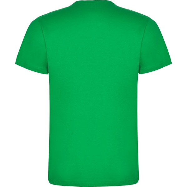 Roly Barn/Barn Dogo T-shirt 11-12 År Irländsk Grön Irish Green 11-12 Years