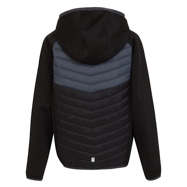 Regatta Barn/Kids Kielder VIII Hybridjacka 5-6 År Bla Black/Seal Grey 5-6 Years
