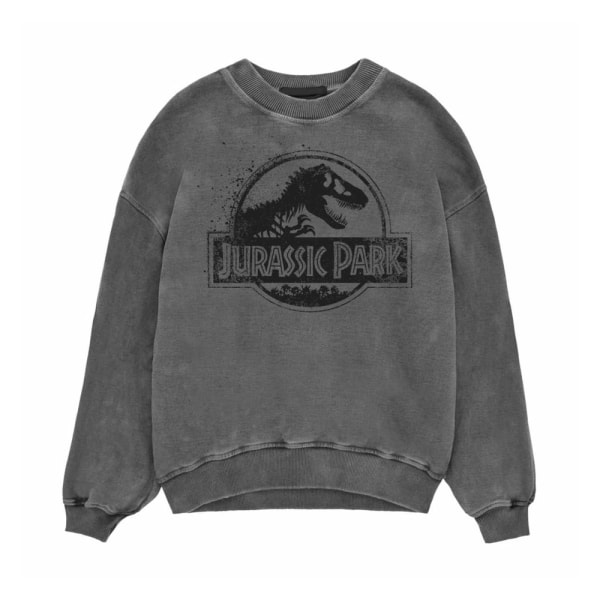 Jurassic Park Unisex Adult Spray Logo Sweatshirt M Svart Black M