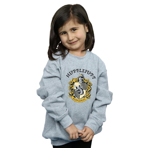 Harry Potter Flickor Hufflepuff Bomullströja 5-6 År Sport Sports Grey 5-6 Years