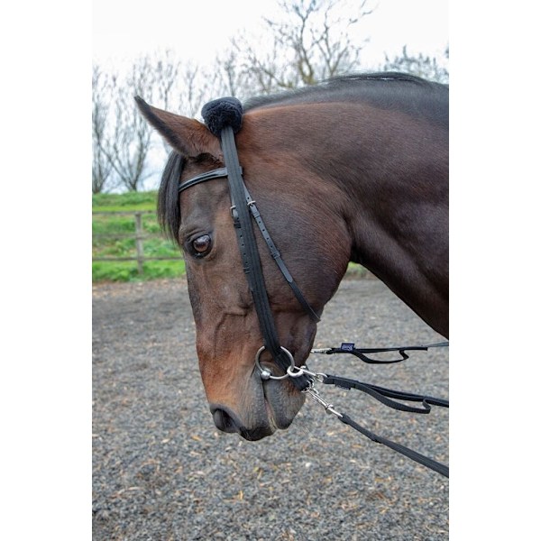 Shires Läderhäst Lungadapter En Storlek Svart Black One Size