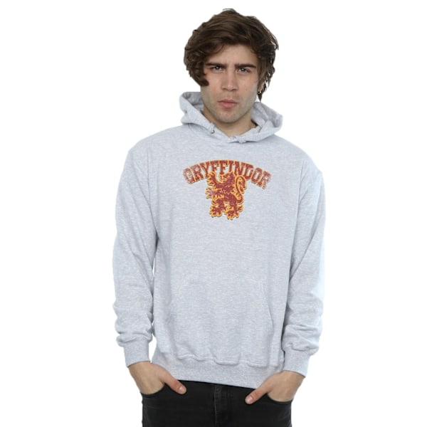 Harry Potter Herr Gryffindor Sport Emblem Hoodie L Sports Grey Sports Grey L