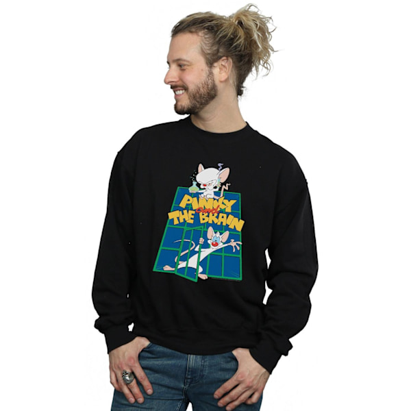 Animaniacs Herr Pinky And The Brain Laboratory Sweatshirt XL Svart Black XL
