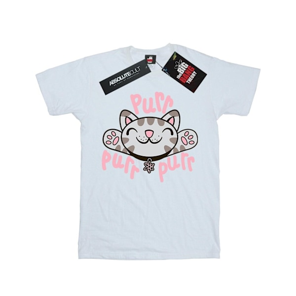 Big Bang Theory Boys Soft Kitty Purr T-Shirt 7-8 år Vit White 7-8 Years