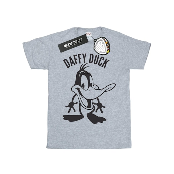 Looney Tunes Herr Daffy Duck Stort Huvud T-shirt S Sports Grey Sports Grey S