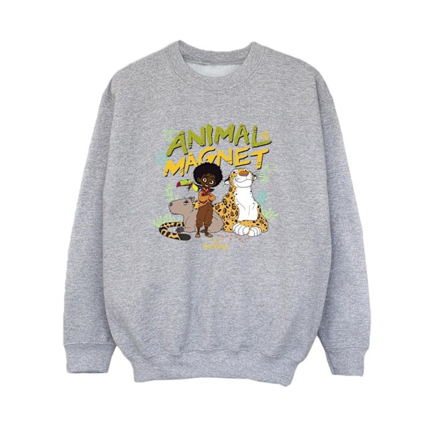 Disney Boys Encanto Animal Magnet Sweatshirt 3-4 år Sports G Sports Grey 3-4 Years