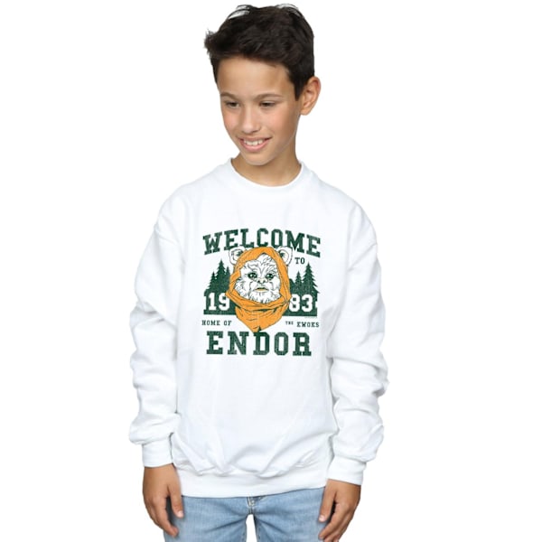 Star Wars Boys Endor Camp Sweatshirt 9-11 år Vit White 9-11 Years