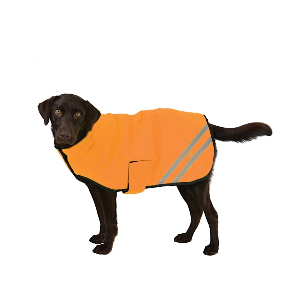 HyVIZ Reflekterande Vattentät Hundkappa L Orange Orange L