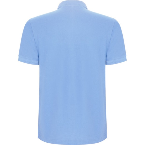 Roly Barn/Kids Pegaso Premium Kortärmad Poloshirt 11- Sky Blue 11-12 Years