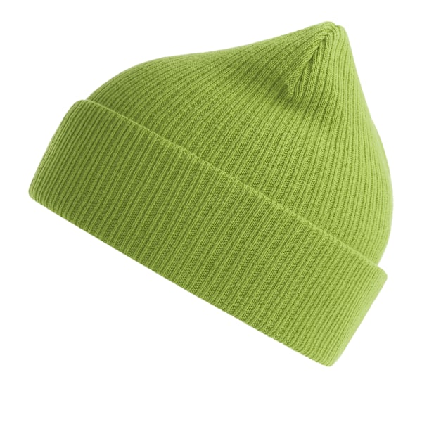 Atlantis Unisex Vuxen Nelson Ribbad Ekologisk Bomulls Mössa En Storlek Leaf Green One Size