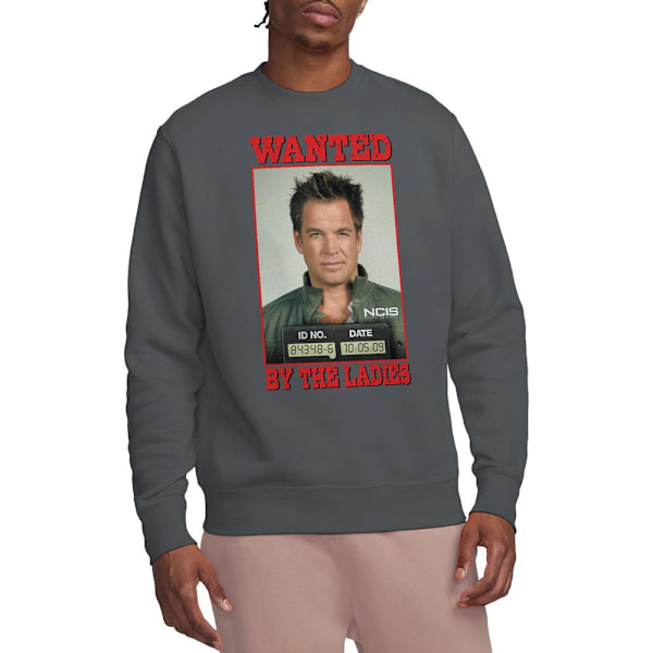 NCIS Unisex Vuxen Wanted Sweatshirt L Gråmelerad Charcoal L