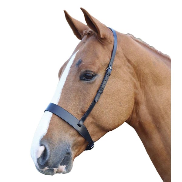 Blenheim Hunter Läder Häst Cavesson Cob Svart Black Cob