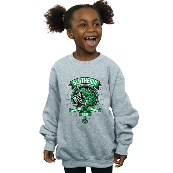 Harry Potter Flickor Slytherin Toon Crest Sweatshirt 5-6 År Sp Sports Grey 5-6 Years