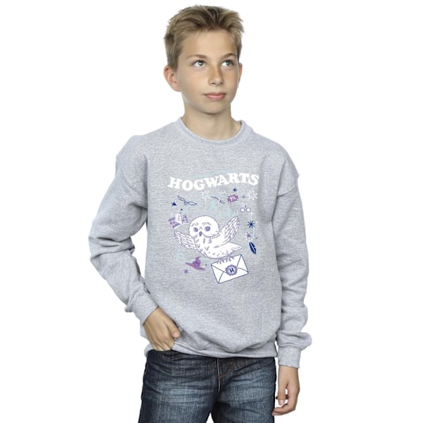 Harry Potter Pojkar Uggla Brev Från Hogwarts Sweatshirt 12-13 År Sports Grey 12-13 Years