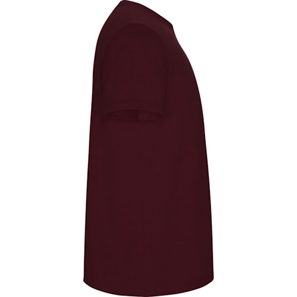 Roly Barn/Barn Stafford Kortärmad T-shirt 9-10 År G Garnet 9-10 Years