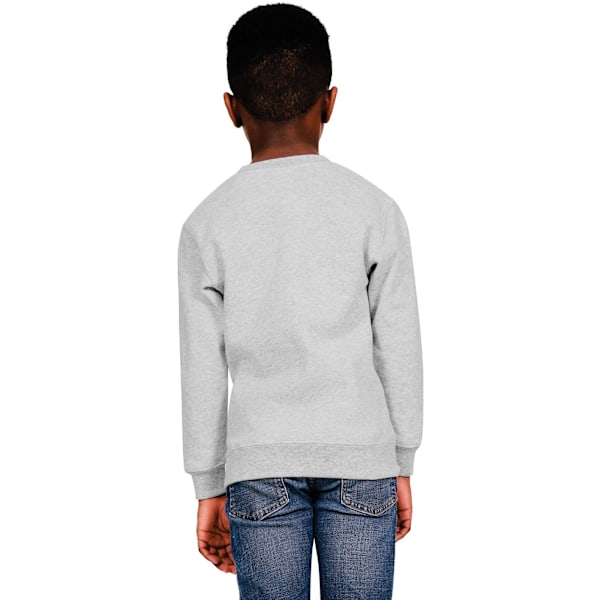 Casual Classics Barn/Barn Blended Ringspun Bomull Sweatshirt Sports Grey 5-6 Years