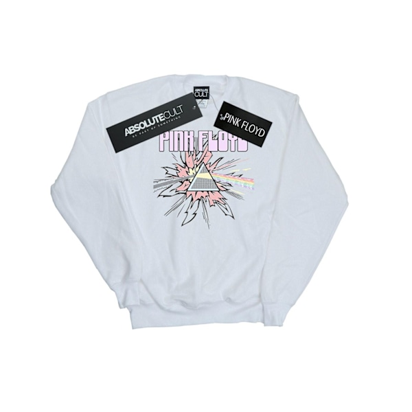 Pink Floyd Boys Pastel Triangle Sweatshirt 3-4 år Vit White 3-4 Years