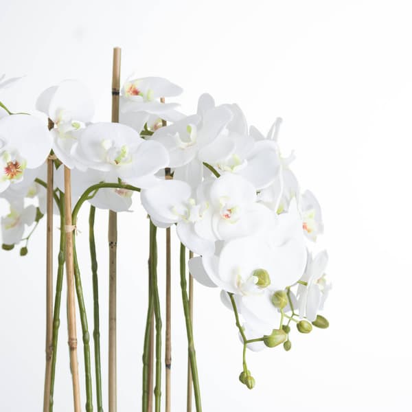 Hill Interiors Stor orkidé i glasvas One Size Vit White One Size