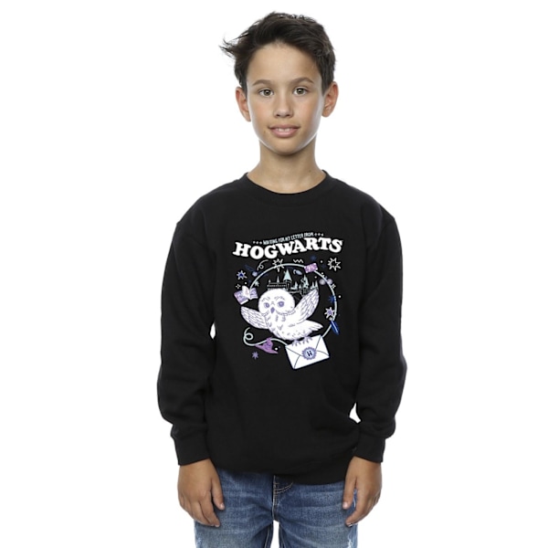 Harry Potter Pojkar Uggla Brev Från Hogwarts Sweatshirt 12-13 År Black 12-13 Years