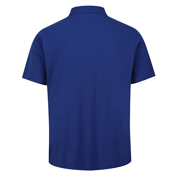Regatta Professional Herr Kortärmad Pikétröja XXL New Roya New Royal XXL