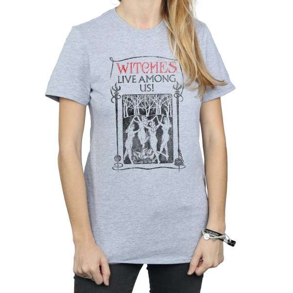 Fantastic Beasts Womens/Ladies Witches Live Among Us Cotton Boy Sports Grey XXL